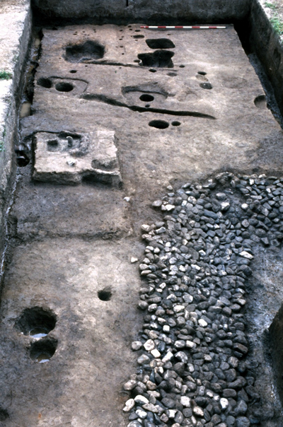 布留遺跡杣之内(アゼクラ)地区の居館跡(5世紀)